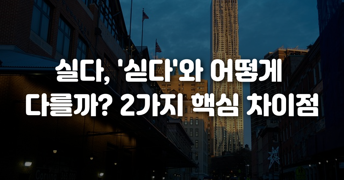 03-실다_싣다_와_어떻게_다를까_2가지_핵심_차이점