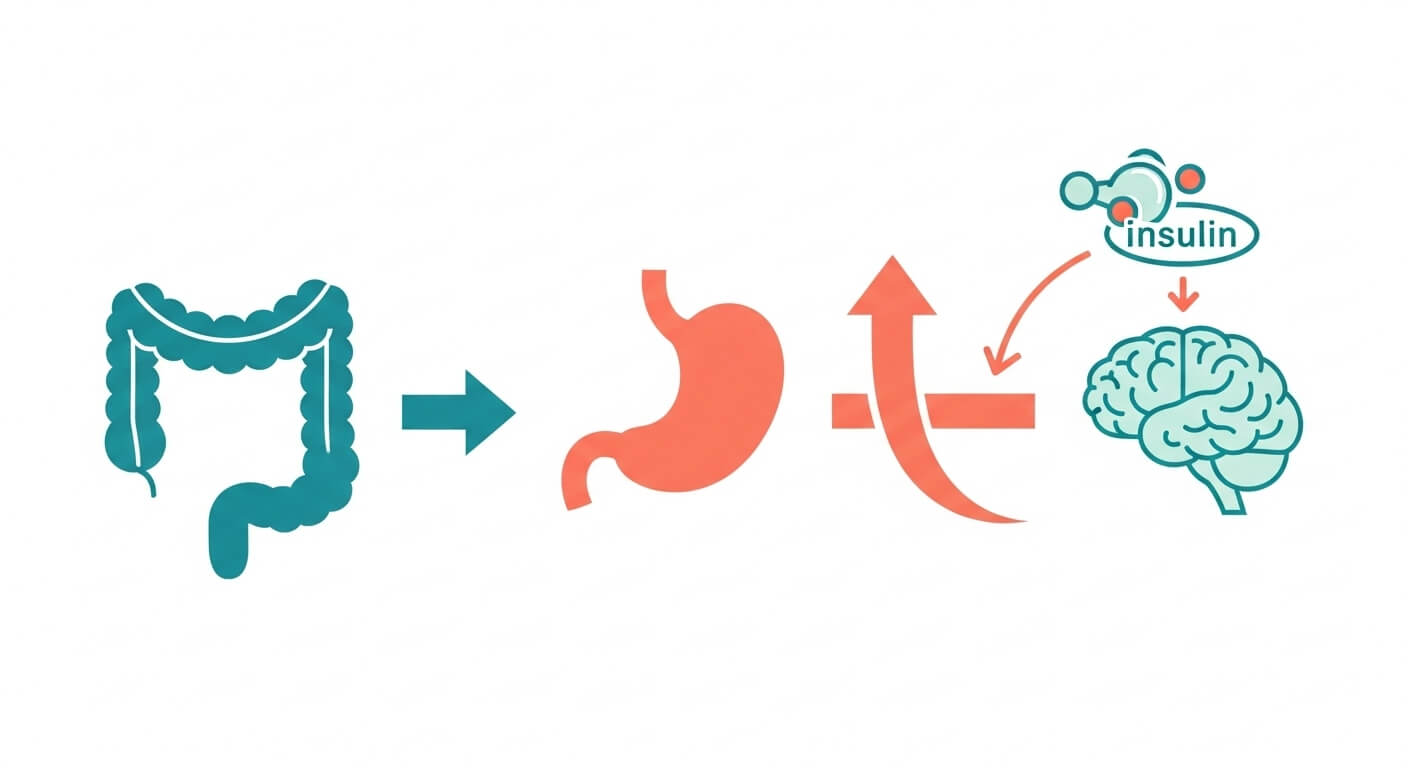 GLP-1 주사의 작용 원리와 효능