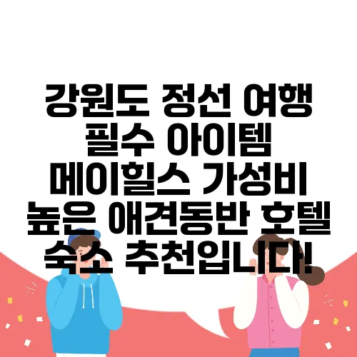 강원도 정선 여행 필수 아이템 메이힐스 가성비 높은 애견동반 호텔 숙소 추천입니다!