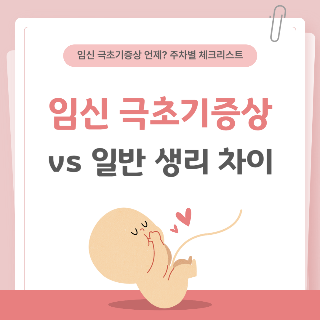 임신 극초기증상 언제부터 주차별 체크리스트 제공
