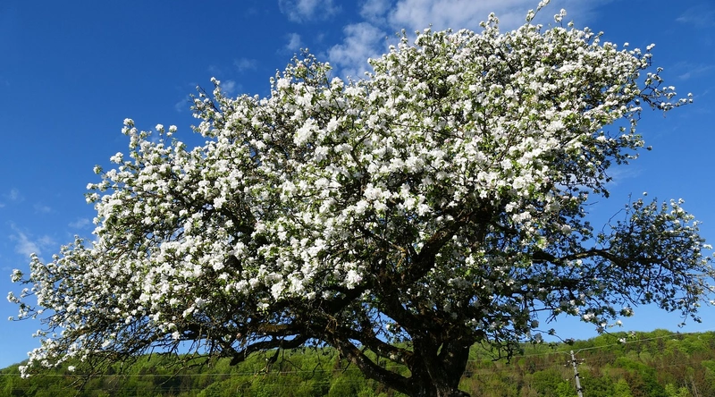 전선 선택 시 유의사항