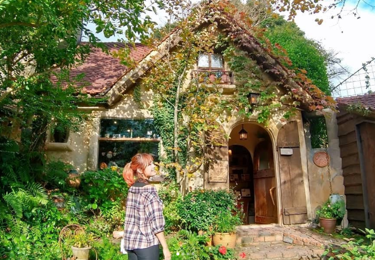 하마나코 온기의 숲