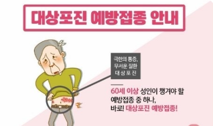 대상포진 예방백신 과 독감백신 관련 사진