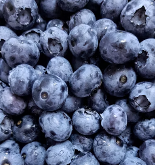 혈액순환에 좋은 음식