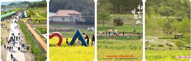 화순 봄꽃축제 사진