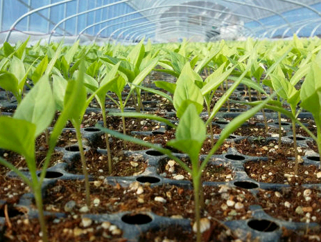 손해평가사 자격증 시험