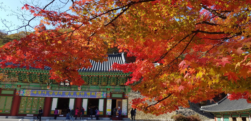 출처 : 충일산악회