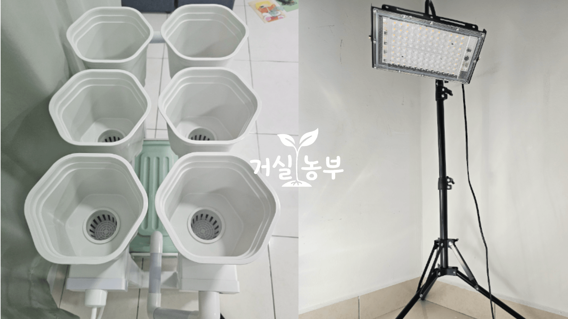 거실에서 깻잎을 키우기 위해 준비한 흰색 수경재배 화분과 스탠드형 LED 식물등