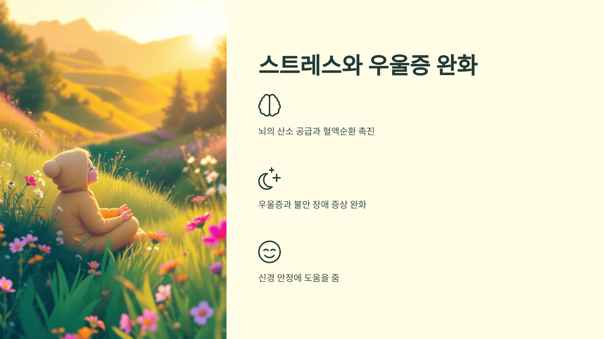 은행잎 사진입니다.