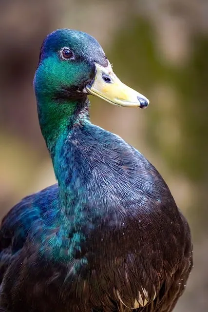 역할과 역활의 차이 표정리는_6