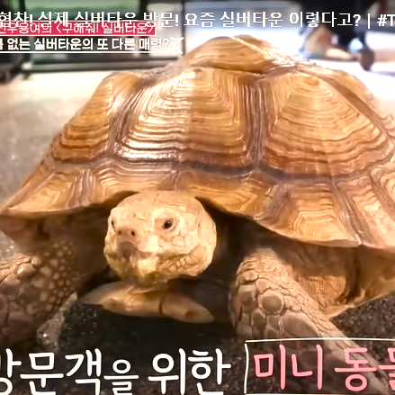 청심빌리지 근처 가평 베고니아새정원