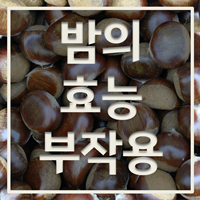 밤의 효능과 부작용