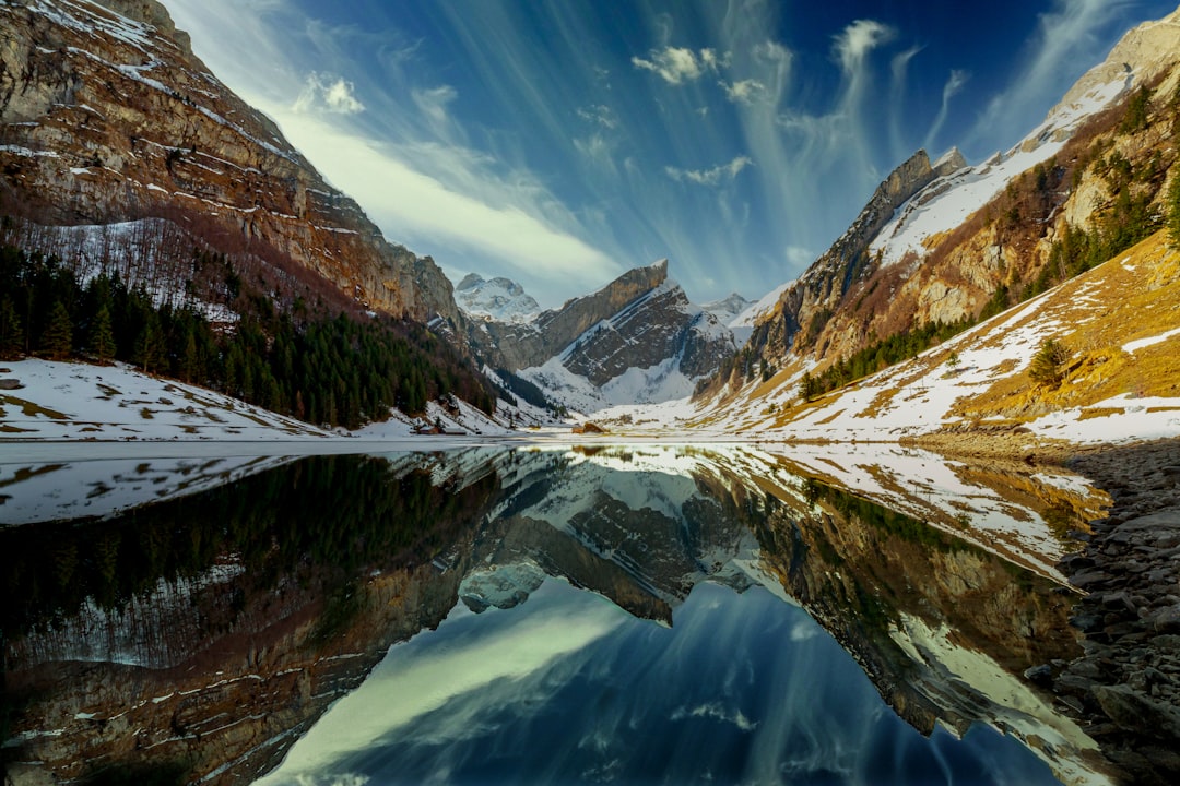 Mirroring