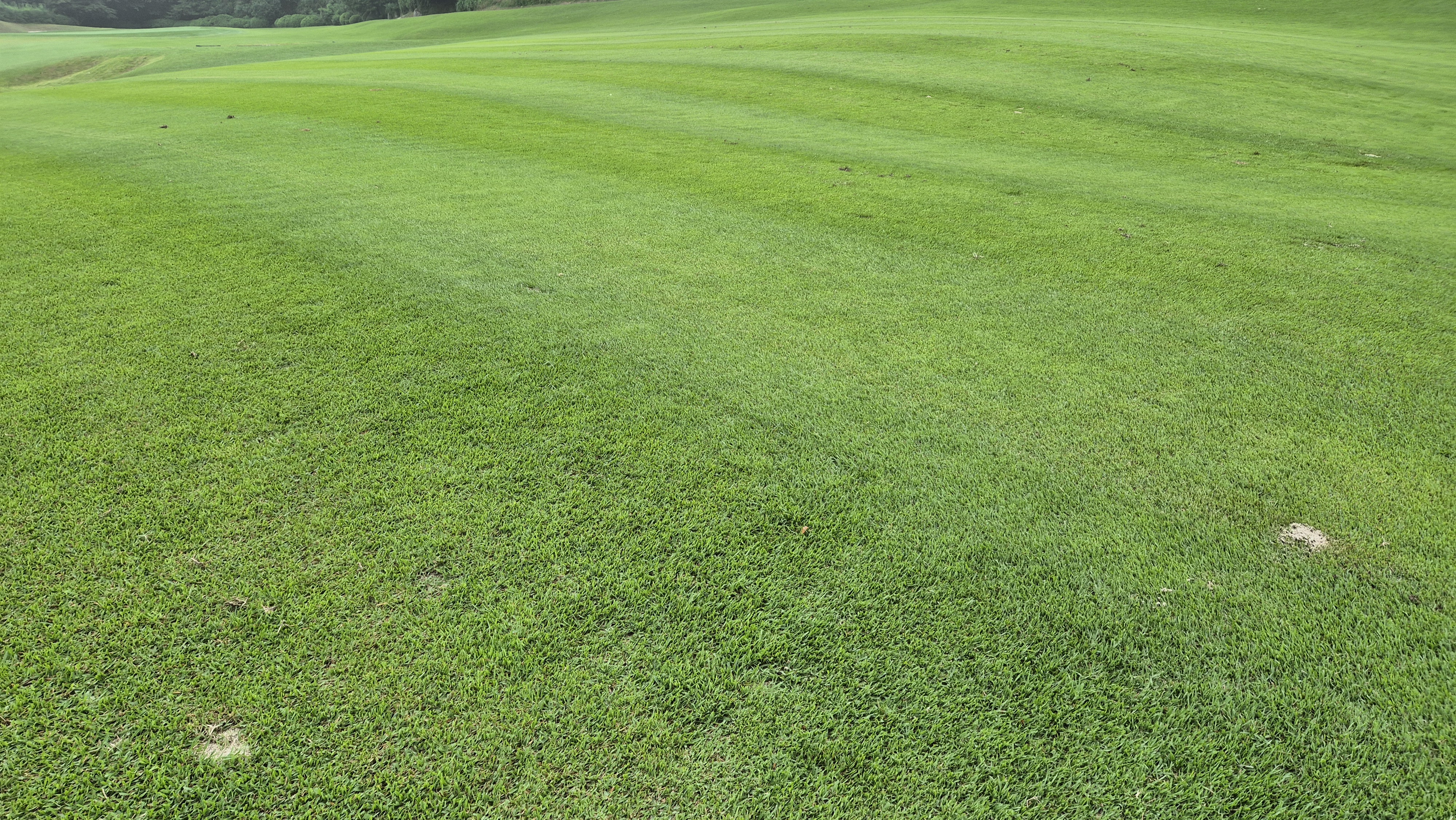 뉴스프링빌cc 라운드 후기