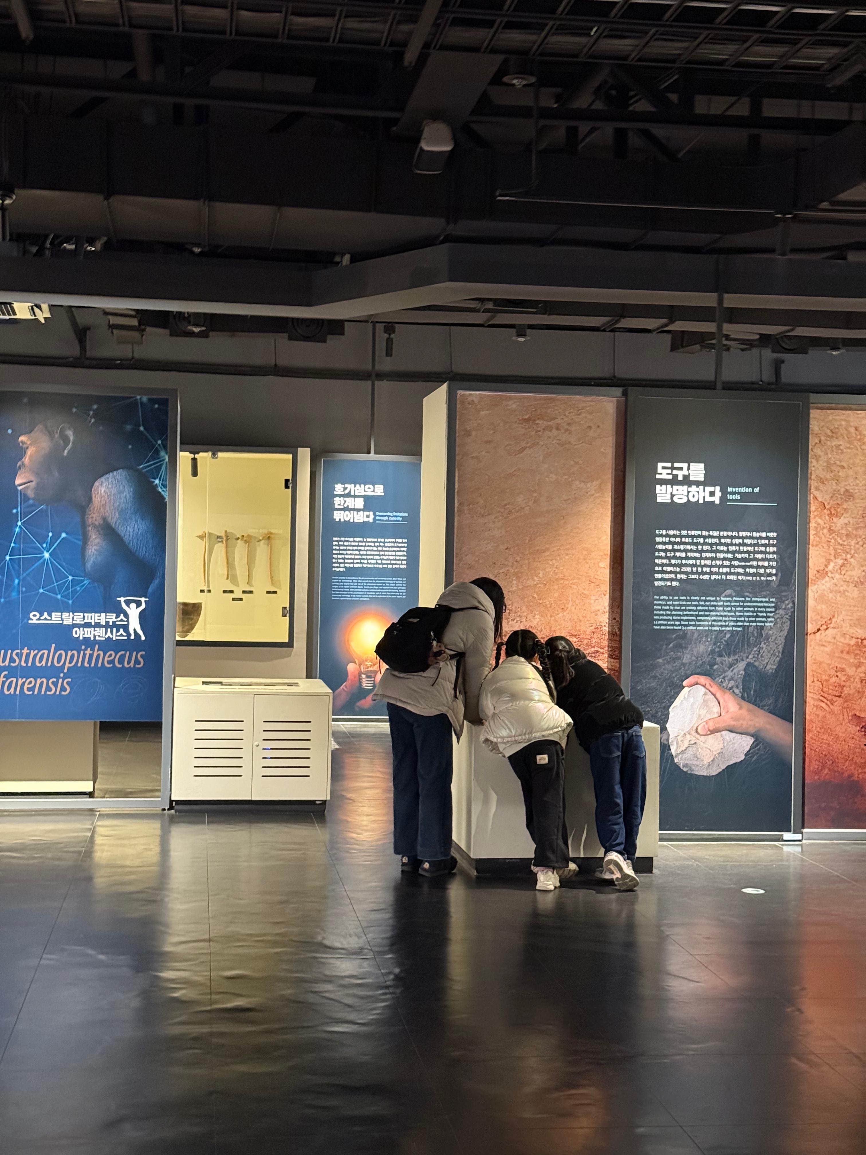 국립중앙박물관 인류관