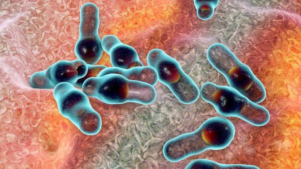 파상풍 초기증상 및 주사 기간과 아이들 예방접종 기간&#44; 성인 예방접종 기간을 알아봤습니다. 파상풍은 우리가 생각하는 것보다 훨씬 위험한 질병이고 합병증이 무서운 질병이니 내용을 잘 숙지하기기 바랍니다.