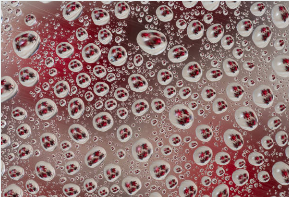 액침냉각 관련주