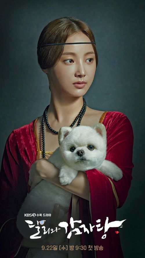 안착희 포스터 모습