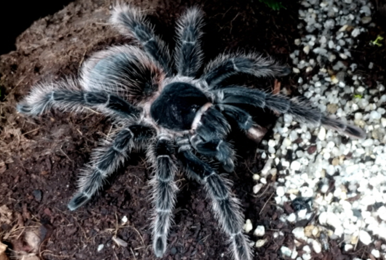 부천 자연생태공원