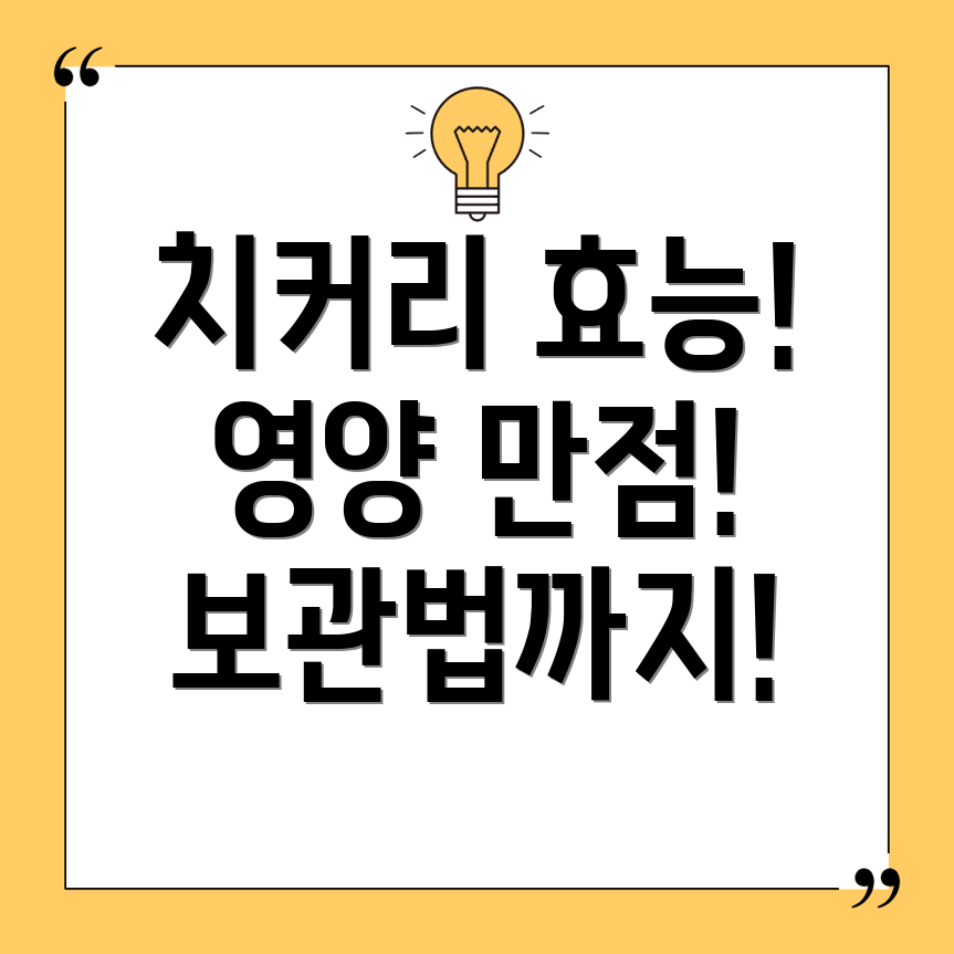 치커리
