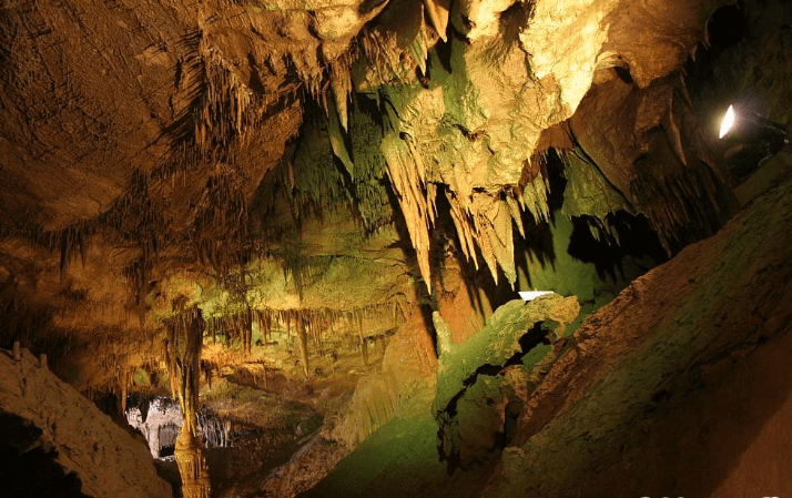 천곡-황금박쥐동굴