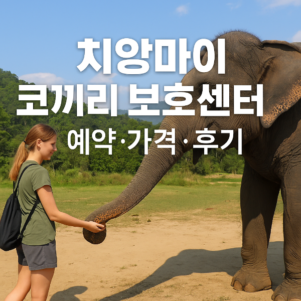 치앙마이 코끼리 보호센터 예약 가격 후기