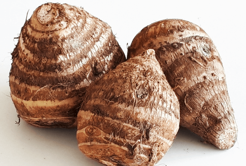 토란 수확시기 및 토란국 맛나게 끓이는 법