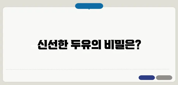 에버홈두유제조기 사용법과 추천 레시피 집에서 만드는 신선한 두유
