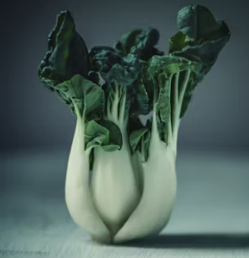 청경채 효능 부작용 고르는법 칼로리