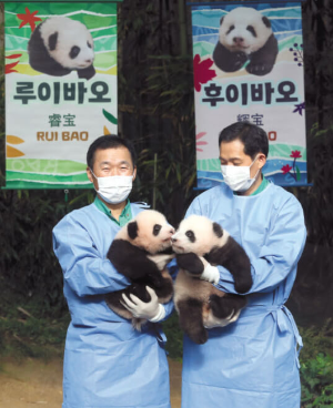 루이바오 후이바오