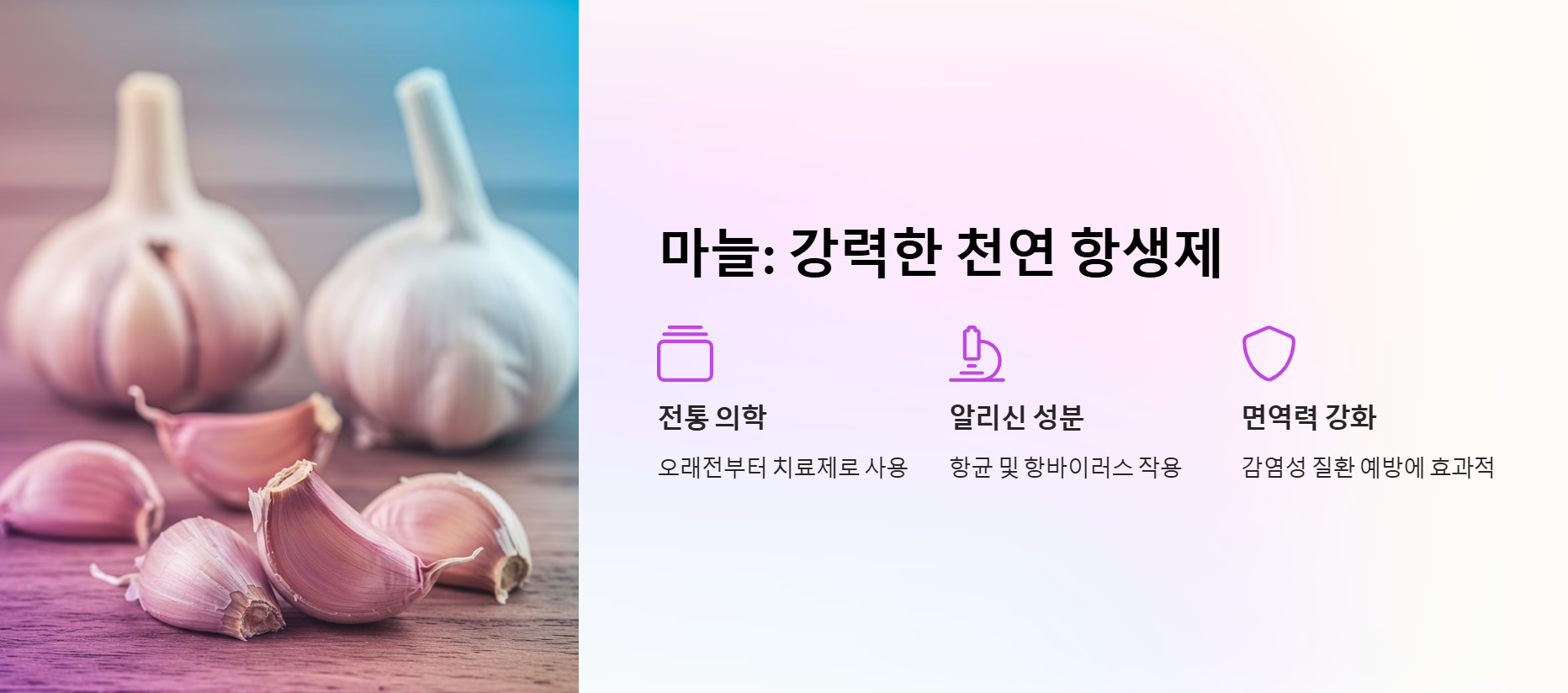 마늘: 강력한 천연 항생제