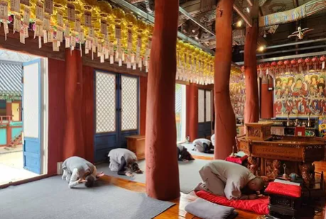 템플스테이 예약