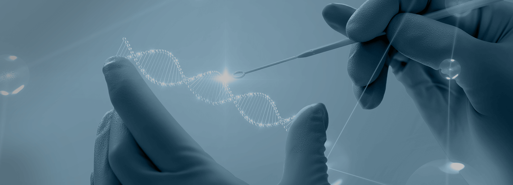 아이티켐 기업정보 &amp; 시장 기대