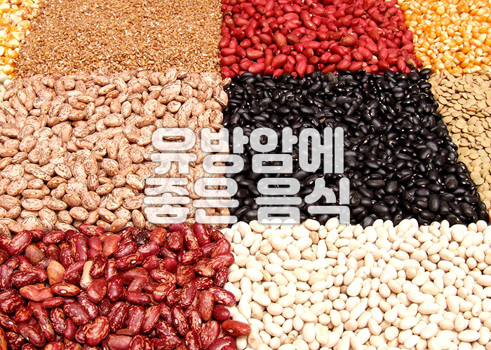 여러가지 통곡물들이 색깔과 종류에 맞게 나란히 배열되어 있다