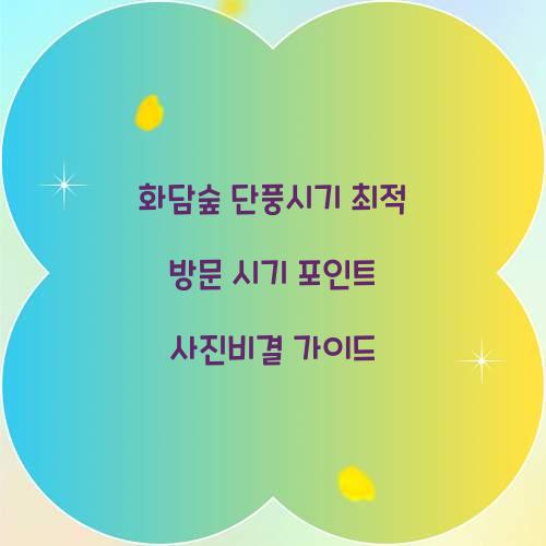 화담숲 단풍시기