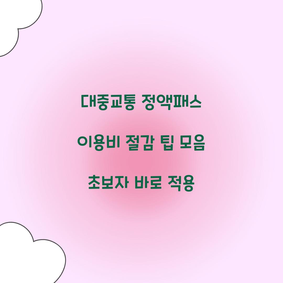 대중교통 정액패스