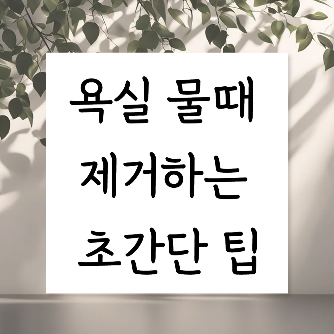 욕실 물때 제거하는 초간단 팁
