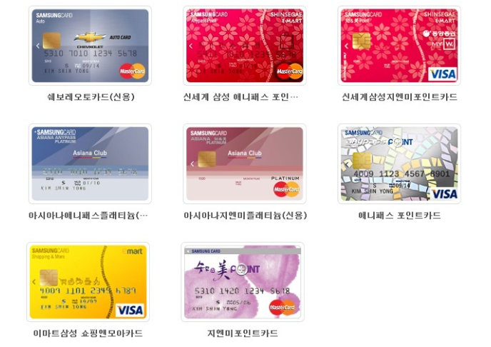 에버랜드 삼성카드