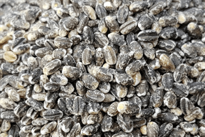 검정보리 효능05