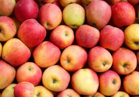 청송 사과 택배 주문 방법