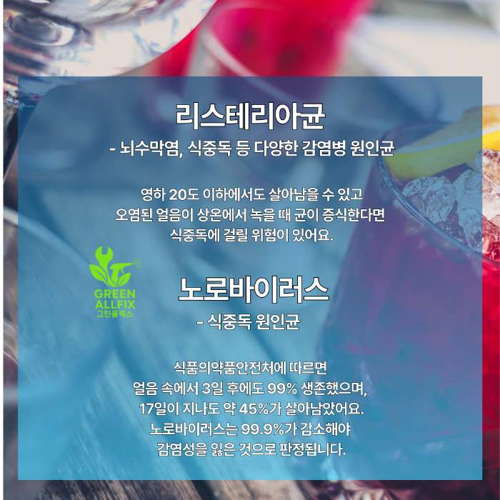 리스테리아균 노로바이러스 식중독 원인균