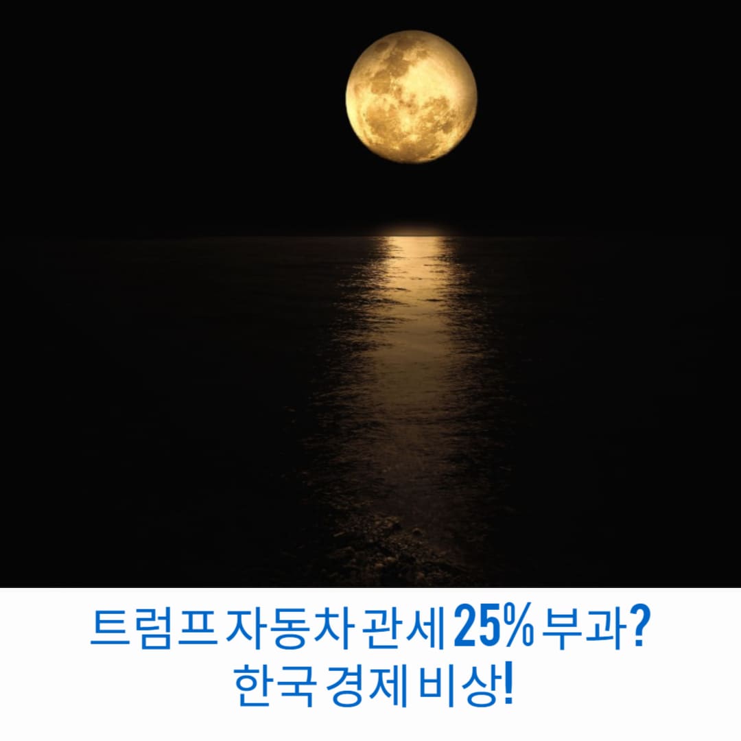 트럼프-자동차-관세-25%-부과-한국-경제-비상-썸네일