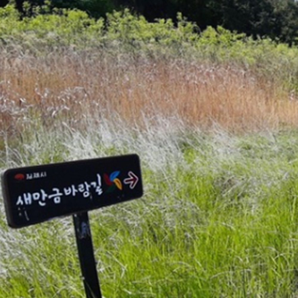 새만금 바람길