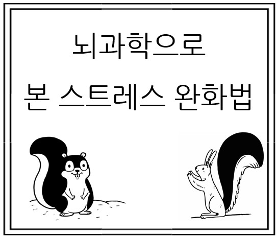 뇌과학으로 본 스트레스 완화법: 우리 뇌는 어떻게 치유되는가
