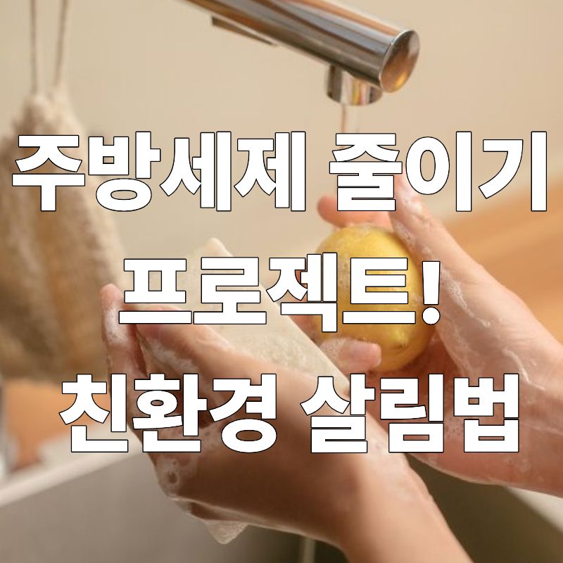 주방세제 줄이기 프로젝트! 친환경 살림법