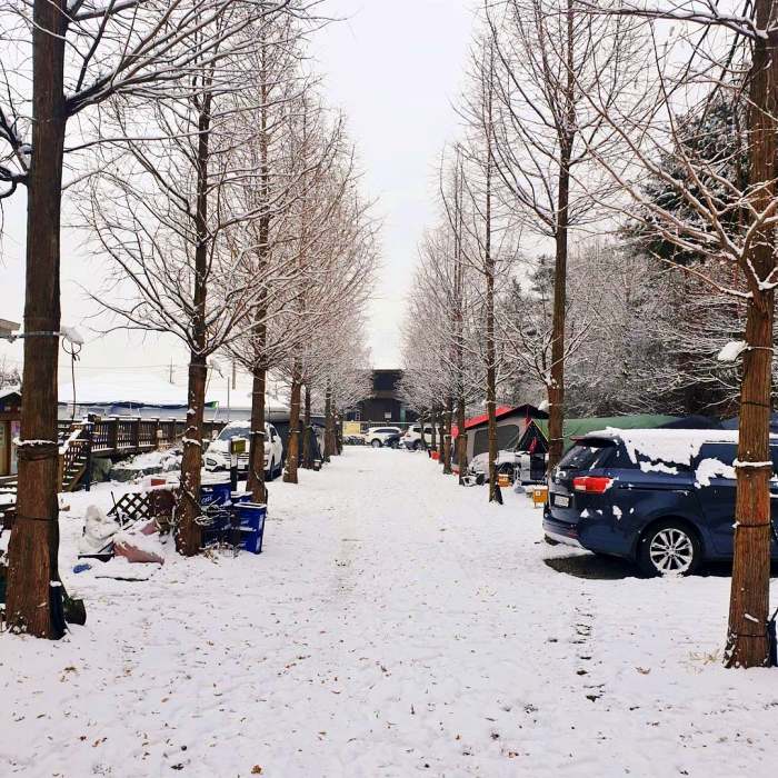 생방송오늘저녁 강화도 차박 투어 3분이면 변신 완료 트레일러 캠핑마차 정체 캠핑카 블로그 유튜브