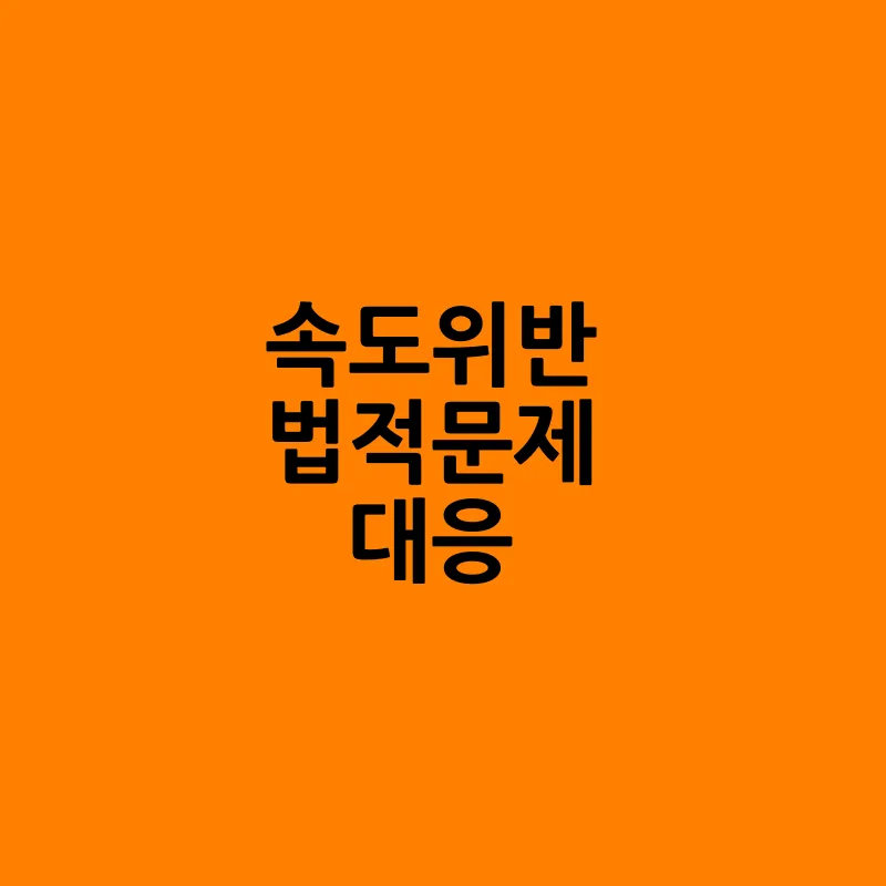 속도위반 실시간 조회