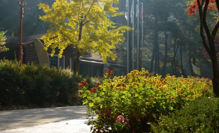 칠곡 송정자연휴양림