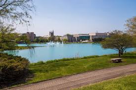 노스웨스턴 대학교