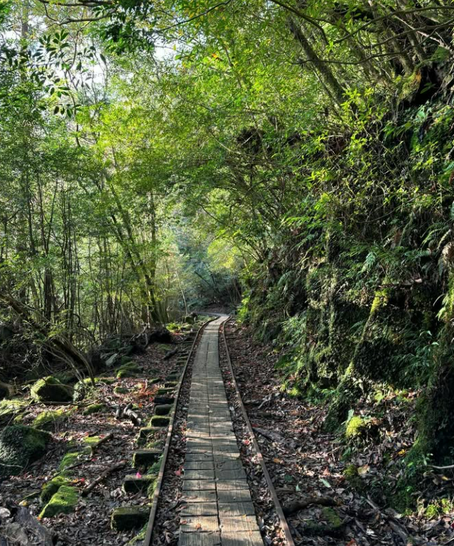 야쿠시마 트레킹 02